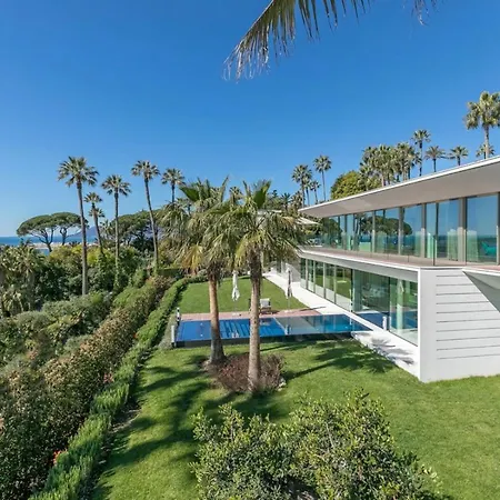 Elm Cannes