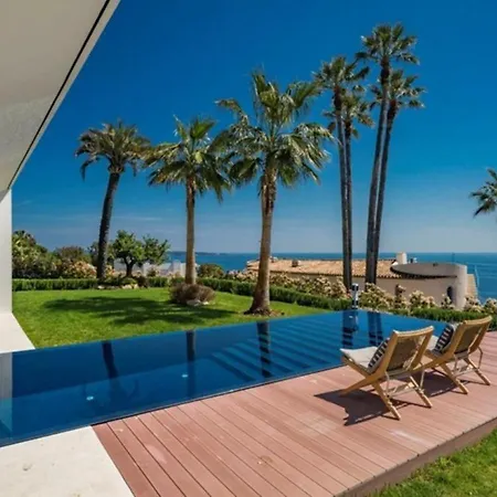 Elm * Cannes