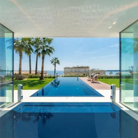 Elm * Cannes