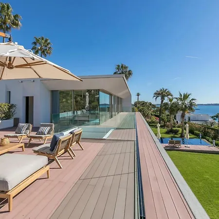 Elm * Cannes
